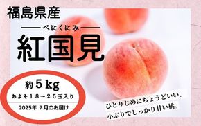 ◆2025年夏発送◆紅国見～産直・桃・約5kg～ ｜ 先行予約 予約 数量限定 桃 もも モモ 果物 くだもの フルーツ 詰め合わせ 福島 ふくしま　※離島への配送不可　※2025年7月上旬～7月下旬頃に順次発送予定