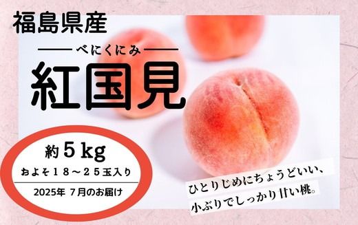 ◆2025年夏発送◆紅国見～産直・桃・約5kg～ ｜ 先行予約 予約 数量限定 桃 もも モモ 果物 くだもの フルーツ 詰め合わせ 福島 ふくしま　※離島への配送不可　※2025年7月上旬～7月下旬頃に順次発送予定