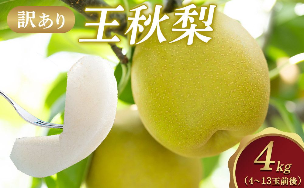 [訳あり]王秋梨 4kg(4〜13玉前後)≪果物 フルーツ くだもの≫ ※2025年10月下旬〜12月上旬頃に順次発送予定 313726