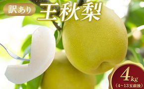 【先行予約】【訳あり】王秋梨 4kg（4～13玉前後）≪果物 フルーツ くだもの≫　※2026年10月下旬～12月上旬頃に順次発送予定 313726_AN004