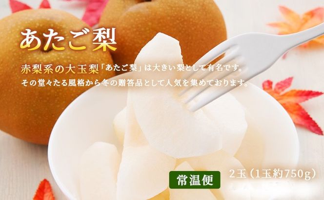 フルーツ 2026年 先行予約 晴れの国 岡山 の フルーツ 定期便 6回コース 桃 ぶどう 梨 岡山県産 国産 フルーツ 果物 ギフト