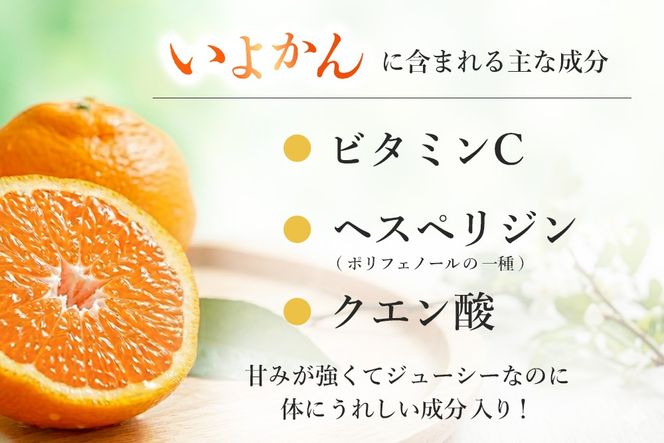 【2027年1月中旬より発送開始】いよかん 8～10kg(3L～Lサイズ)【みかん 柑橘 フルーツ デザート】(H116141)
