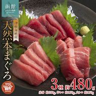 セレクト朝市「津軽海峡産天然本まぐろ」（赤身 約180g、中トロ 約150g、大トロ 約150g）_HD009-033