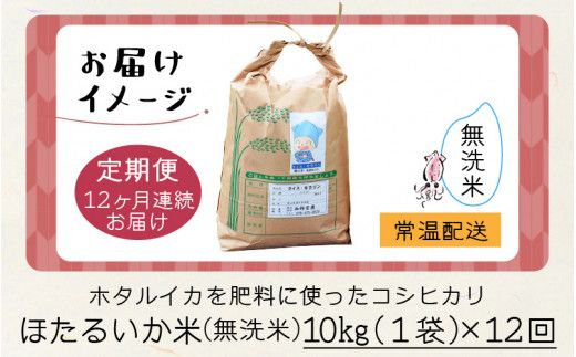 【訳あり】ほたるいか米（無洗米10kg）×12回 計120kg【12ヶ月定期便】