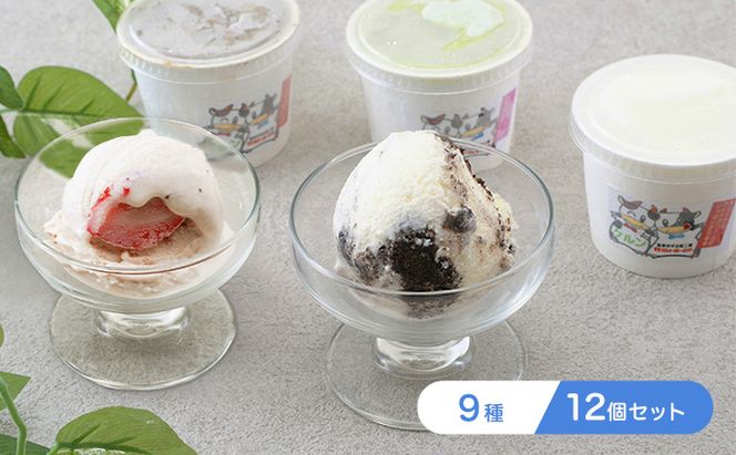 オリジナル ジェラート アイス 12個 セット 9種 アイスクリーム スイーツ デザート バニラ チョコ フルーツ ミルク 抹茶 いちご お菓子 菓子 カップ 