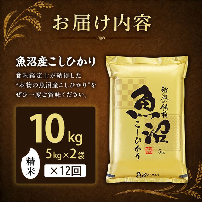 【令和8年産 先行予約】「12カ月定期便」食味鑑定士厳選！魚沼産こしひかり 10kg(5kg×2)×12回 米 コシヒカリ 定期 新潟県 十日町市