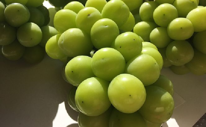 ぶどう 2027年 先行予約 ひらた農園 贈答用 岡山県産 シャインマスカット 約2kg（3～4房） 果物類 ぶどう フルーツ ブドウ 果物 
