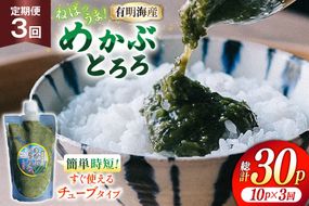 AJ658 めかぶ 有明海産 無添加めかぶとろろ 250g×10パック 定期便 3回 毎月 [ きざみめかぶ とろろ わかめ 海藻 無添加 冷凍 小分け チューブ ご飯のお供 中田水産 長崎県 島原市 ]