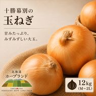【先行予約】十勝幕別 玉ねぎ 12kg （M～2L）[北海道ホープランド農場] 【 たまねぎ 玉ねぎ 玉葱 野菜 秋野菜 北海道 十勝 幕別 】