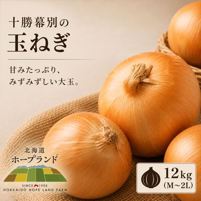 【先行予約】十勝幕別 玉ねぎ 12kg （M～2L）[北海道ホープランド農場] 【 たまねぎ 玉ねぎ 玉葱 野菜 秋野菜 北海道 十勝 幕別 】