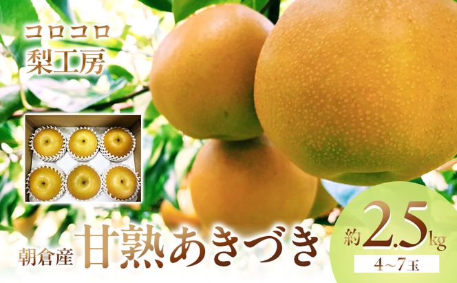 梨 あきづき まるで食べる梨ジュース！！甘熟 あきづき梨 約2.5kg 4～7玉入 配送不可 離島 ナシ 果物 フルーツ 先行予約 
