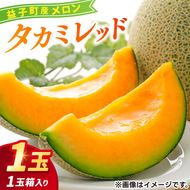 ＼果汁たっぷり／栃木県益子町産 タカミレッド 約1.5kg×1玉 (2025年6月発送予定) | ましこメロン 果物 くだもの フルーツ メロン 赤肉 赤肉メロン 旬 贈り物 ギフト 箱入り お取り寄せ 甘い 栃木県産 益子町産 (AA044)