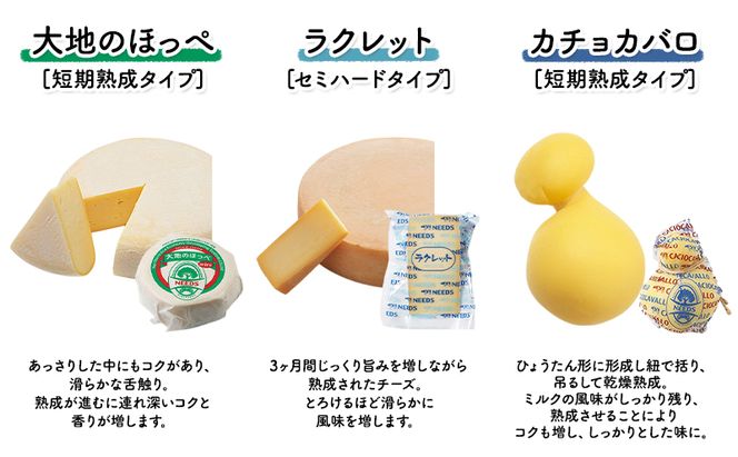 北海道 十勝 チーズアソート7種B / ラクレット入り バラエティセット 2回定期便（2ヶ月ごと）[チーズ工房NEEDS]【 定期便 頒布会 隔月 チーズ アソート 詰合せ セットラクレット モッツァレラ 大地のほっぺ さけるチーズ 焼きチーズ NEEDS】