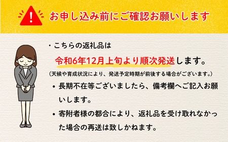 【先行予約】 サンふじ 約10kg（2024年産）(D-2.8)