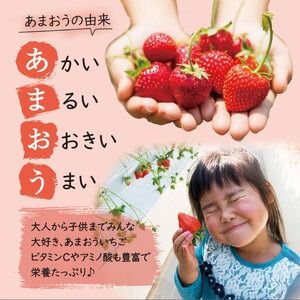 【先行予約】【全2回定期便】【 数量限定 】 あまおう いちご 1,620g ( 約 270g × 6パック )【2026年3月初旬より順次発送】 糸島市 / 株式会社HSP-テクノ グランデ 等級 福岡県産 [AZL006] ブランド いちご あまおう 数量限定 先行予約 果物 フルーツ 苺 イチゴ