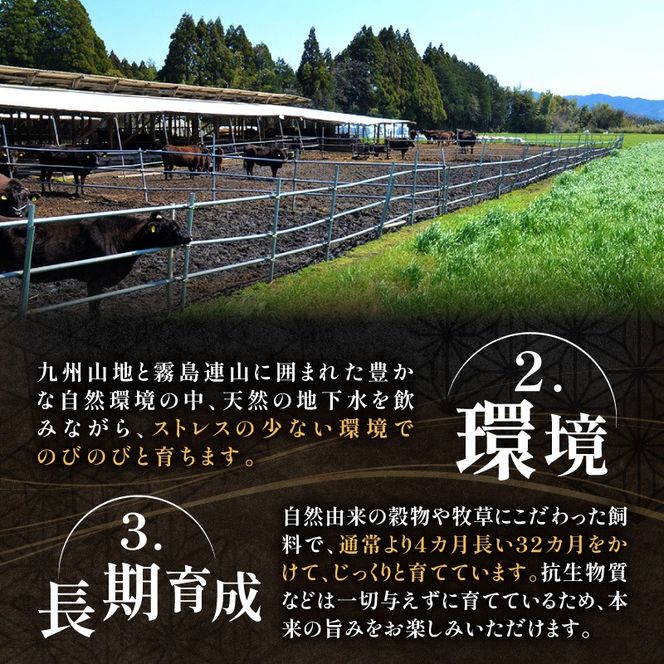 【プレミアムシリーズ】厳選宮崎牛メス指定Ａ５等級モモステーキ 600ｇ（国産 牛肉 国産牛 和牛 黒毛和牛 宮崎牛 赤身 モモ ステーキ 焼肉）