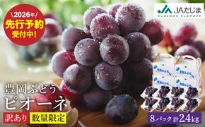 【2026年先行予約】数量限定 訳あり 豊岡ぶどう「ピオーネ」 約300g×8パック ／ ぴおーね ブドウ 葡萄 訳ありぶどう 大粒 強い甘み 爽やかな酸味 新鮮 果物 産地直送 くだもの フルーツ 上品 香り