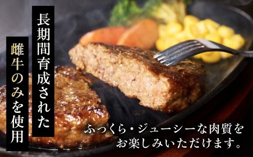 【CF2】【小野牧場】黒毛和牛 ハンバーグ 北海道産 150g × 6個 牛肉 北海道 国産 赤身肉 冷凍 お弁当 詰め合わせ 自宅用 ギフト 贈り物 お取り寄せ 送料無料 十勝 士幌町 【O02-CF】