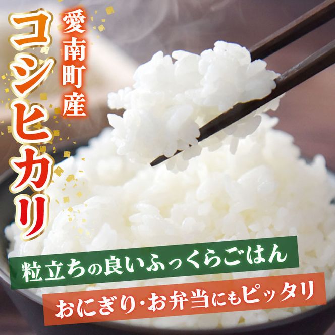 新米 令和8年産 コシヒカリ 10kg ( 10kg×1袋 ) 米 お米 白米 精米 こしひかり 人気 産地直送 国産 農家直送 期間限定 数量限定 特産品 2026年産 大粒 もっちり 粘り 甘み おいしい おにぎり 贈答品 プレゼント 和家農園 愛南町 愛媛県