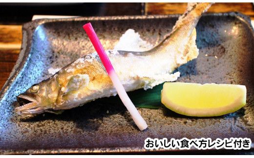 【2026年5月以降発送】【先行予約】延岡どれ鮎（冷凍）1.5kg N017-YZA174