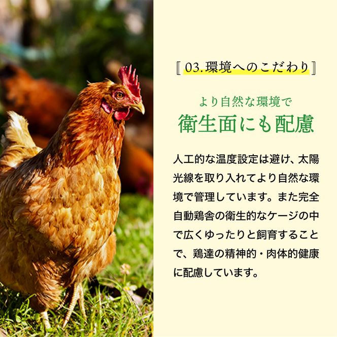 【累計600万個突破！】【TVで紹介されました】タズミの卵Ｍサイズ（20個）005AB02N.／こだわり卵 市川町産 兵庫県産 たまご 卵 たまごかけご飯 玉子 生卵 鶏卵 タマゴ 卵焼き TKG