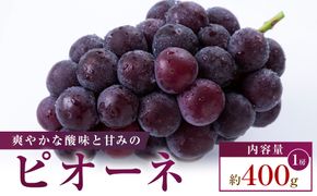 【お試し用】ピオーネ　約400g 372013_T006-805J