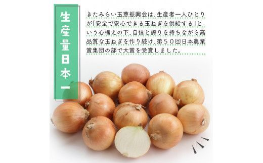 【隔月2回(11月・1月)定期便】JAきたみらいから直送する新鮮玉ねぎ 10kg L玉 ( 野菜 定期便 玉葱 たまねぎ 期間限定 )【999-0118-2026】