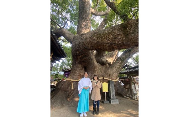 門真市ええもんセット ＜防災頭巾：子ども用、カラー：ピンク色＞【避難グッズ グッズ 防災用品 避難用品 地震 火事 火災 保護 災害 地震対策 防災対策】 272230_AN005VC03