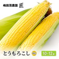 [2027年発送] 北海道 仁木町産 新鮮 とうもろこし 黄色【10～12本】 野菜 トウモロコシ コーン [株式会社 嶋田茂農園匠]