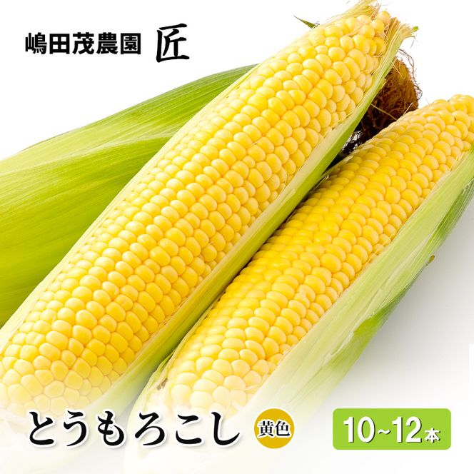 [2027年発送] 北海道 仁木町産 新鮮 とうもろこし 黄色【10～12本】 野菜 トウモロコシ コーン [株式会社 嶋田茂農園匠]