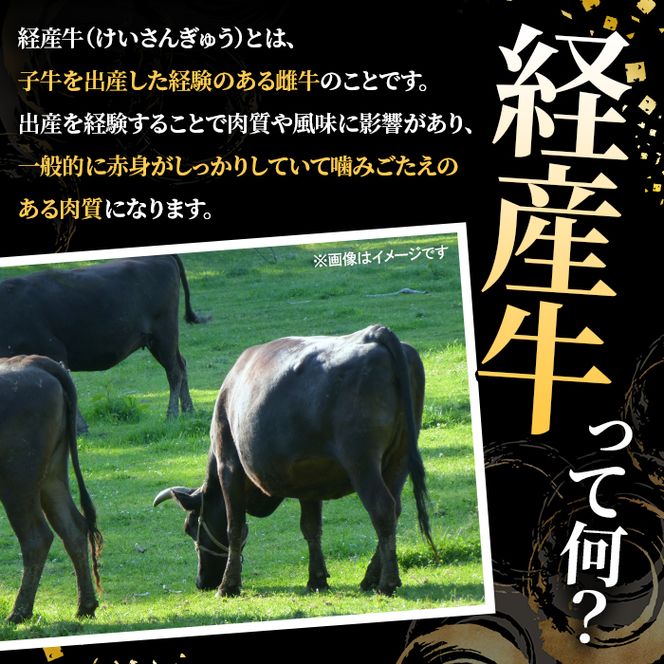 鹿児島県産 経産牛 切り落とし＆訳あり！豚切り落とし (総量2.1kg) 切り落とし 国産 鹿児島県産 豚肉 ブタ おかず 個包装 小分け 薄切り うす切り 冷凍 切り落し 切落し 牛肉 スライス 食べ比べ セット 【スターゼン】akn042-32