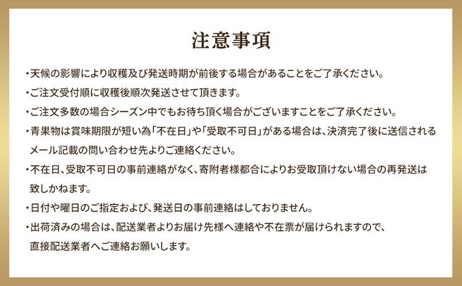 【先行予約】【訳あり】王秋梨 4kg（4～13玉前後）≪果物 フルーツ くだもの≫　※2026年10月下旬～12月上旬頃に順次発送予定 313726_AN004