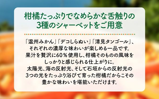 果汁たっぷり！シャーベットなのに滑らかな口当たりニュウズシャーベット3種10個 ※離島への配送不可 IKTF025