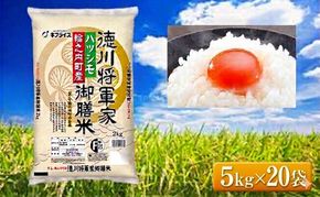 7年産 岐阜県産 ハツシモ （徳川将軍家御膳米） 5kg×20袋 10個口でお届け  米 コメ 精米 白米 大粒 おいしい ごはん おにぎり お弁当 岐阜県 輪之内町