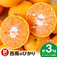 【2026年先行予約】《訳あり 家庭用》西南のひかり 約3kg（S～2Lサイズ混合）_EQ6007