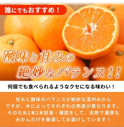 【2026年11月下旬より発送】紀州 有田産 濃厚甘熟 温州みかん 5kg (小粒サイズ)_G7344