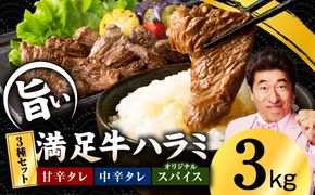 G3403 【満足牛ハラミ】3種セット （甘辛タレ漬け・中辛タレ漬け・オリジナルスパイス仕込み）  合計3kg 【味付け ハラミ 小分け 焼くだけ 簡単調理 BBQ 牛肉 250g×12P】