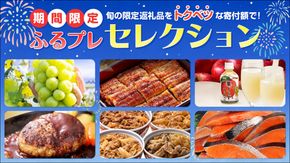 【期間限定】ふるプレセレクション～オリジナル限定返礼品特集