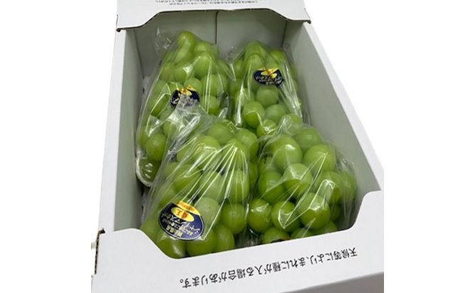 ぶどう 2026年 先行予約 シャイン マスカット 晴王 3～5房 2kg前後 （10月上旬～11月下旬発送分） ブドウ 葡萄  岡山県産 国産 フルーツ 果物 ギフト 岡山のブドウ デザート 食べ物 日本産 