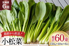 BI330 定期便 6回 小松菜 10束 [ 野菜 こまつな やさい 冷蔵 葉物野菜 田中農園 長崎県 島原市 ]