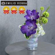 アートフラワー エミリオ・ロバ メモリアルバンダM TTNTS14150
