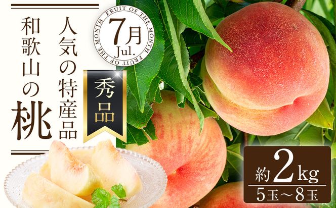 定期便全3回 【7月・8月・9月発送】 和歌山の夏のフルーツをお届け（桃・梨・シャインマスカット） ［TM224］ 303446_XH92275