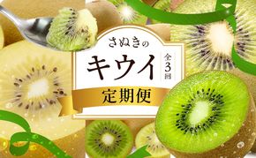 讃岐のキウイ定期便（全3回）【さぬきゴールドキウイ】【さぬきキウイっこ 】【香緑キウイ】