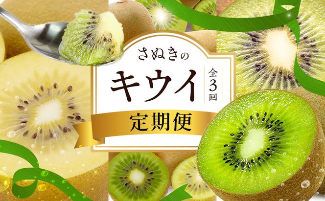 讃岐のキウイ定期便（全3回）【さぬきゴールドキウイ】【さぬきキウイっこ 】【香緑キウイ】