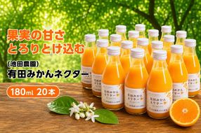 みかん ネクター 100％ ジュース / 温州みかん 有田みかん 果汁 無添加 柑橘 和歌山 23000円 180ml ※北海道・沖縄・離島への配送不可 //drink【ikd100-to180-20A】