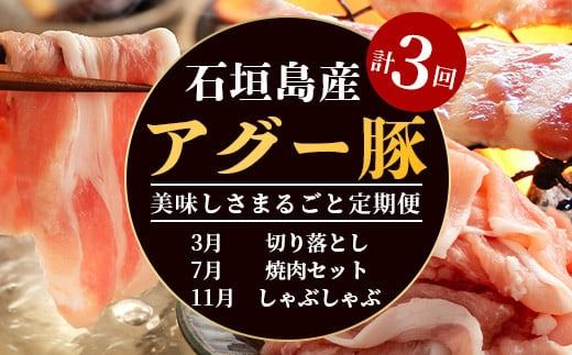 石垣島産アグー豚の定期便（3月、7月、11月お届け）【南ぬ豚 アグー豚 焼肉 食べ比べ 豚肉 石垣 石垣島 沖縄 八重山】 E-30