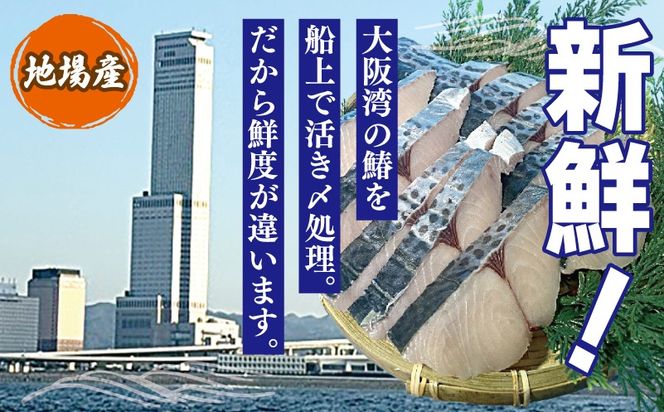 015B705 さわら西京漬け 2切れ×3P【小分け 切り身 海産 魚 お弁当 焼き魚 冷凍 惣菜 焼くだけ】