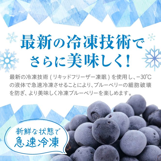 【2026年7月より順次発送】栽培期間中農薬不使用！急速冷凍ブルーベリー 1.2kg 【JAほたるの里】_HA1517