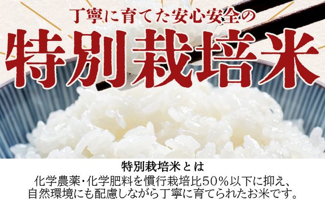 令和８年度産 白米（特別栽培米）5kg 【8月下旬以降順次配送】 お米 こめ コメ はくまい 精米 おにぎり お弁当 毎日のご飯 特別栽培米 キロ ふっくら つやつや 冷めても美味しい お取り寄せ 国産 ka-0002