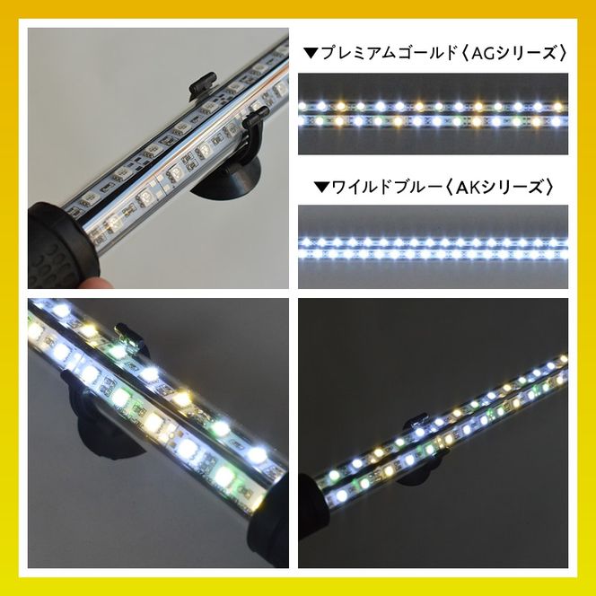 水槽全体を明るく照らし、鱗を際立たせる!金龍専用の高輝度水中ライト|AG120-EX［172C17］金龍 専用 プレミアムゴールド 水中 アロワナ 高輝度 水槽ライト テンニングライト グラデーション 3色 LED ライト 照明 水中照明 光 綺麗 強化ガラス 吸盤 1年保証 簡単 設置 でんらい インテリア 雑貨 愛知県 小牧市 送料無料